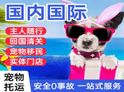 营口兰旗航空空运国际宠物托运 【国